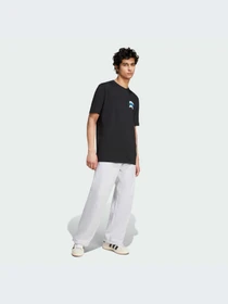 Футболки і поло Adidas Graphics модель IZ2580 Фото