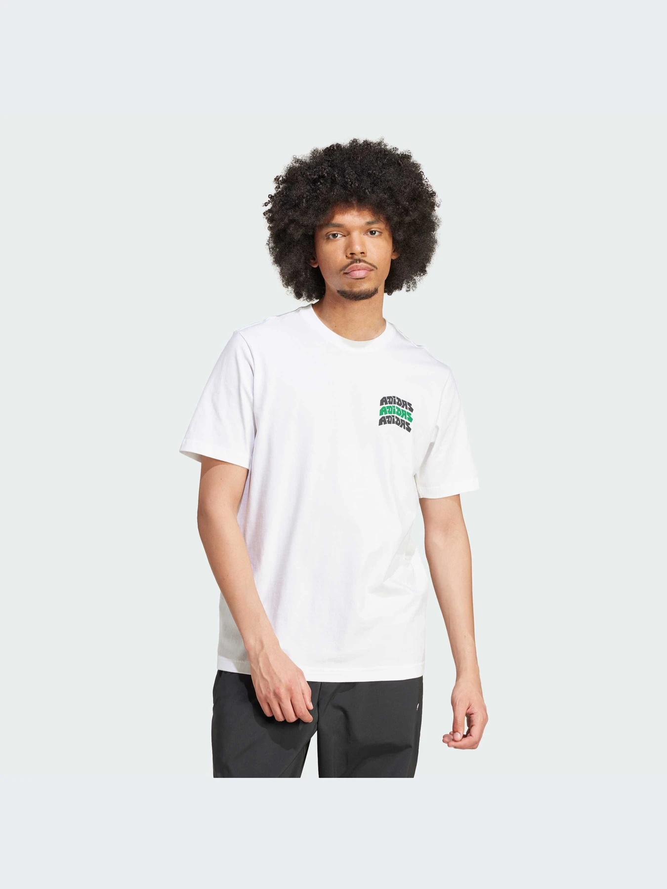 Футболки і поло Adidas Graphics модель IX6748 Футболки і поло Adidas Graphics модель IX6748 Фото