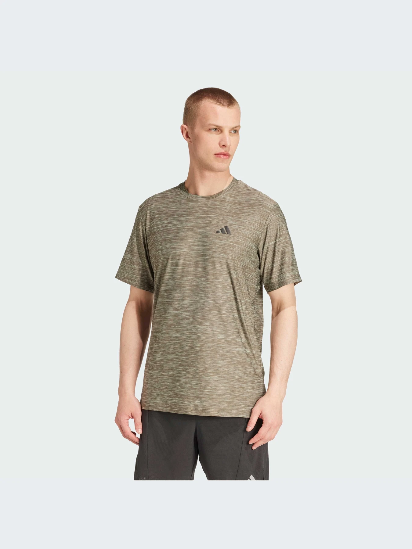 Футболки и поло Adidas Clima модель IW3363 Футболки и поло Adidas Clima модель IW3363 Фото