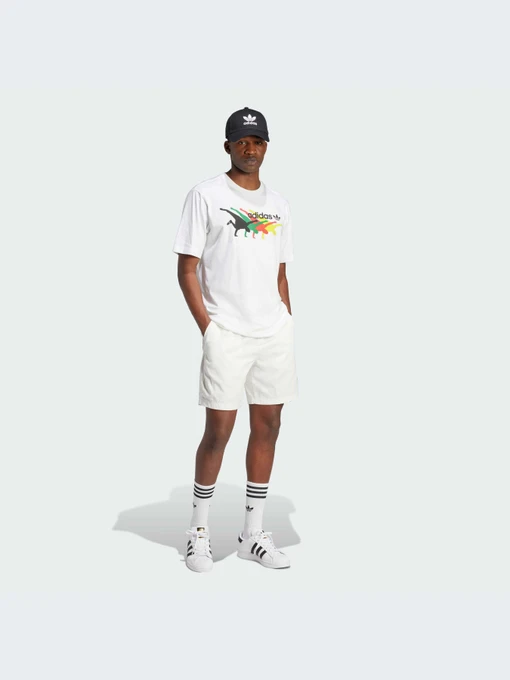 Футболки і поло Adidas Graphics модель IX6718 Фото