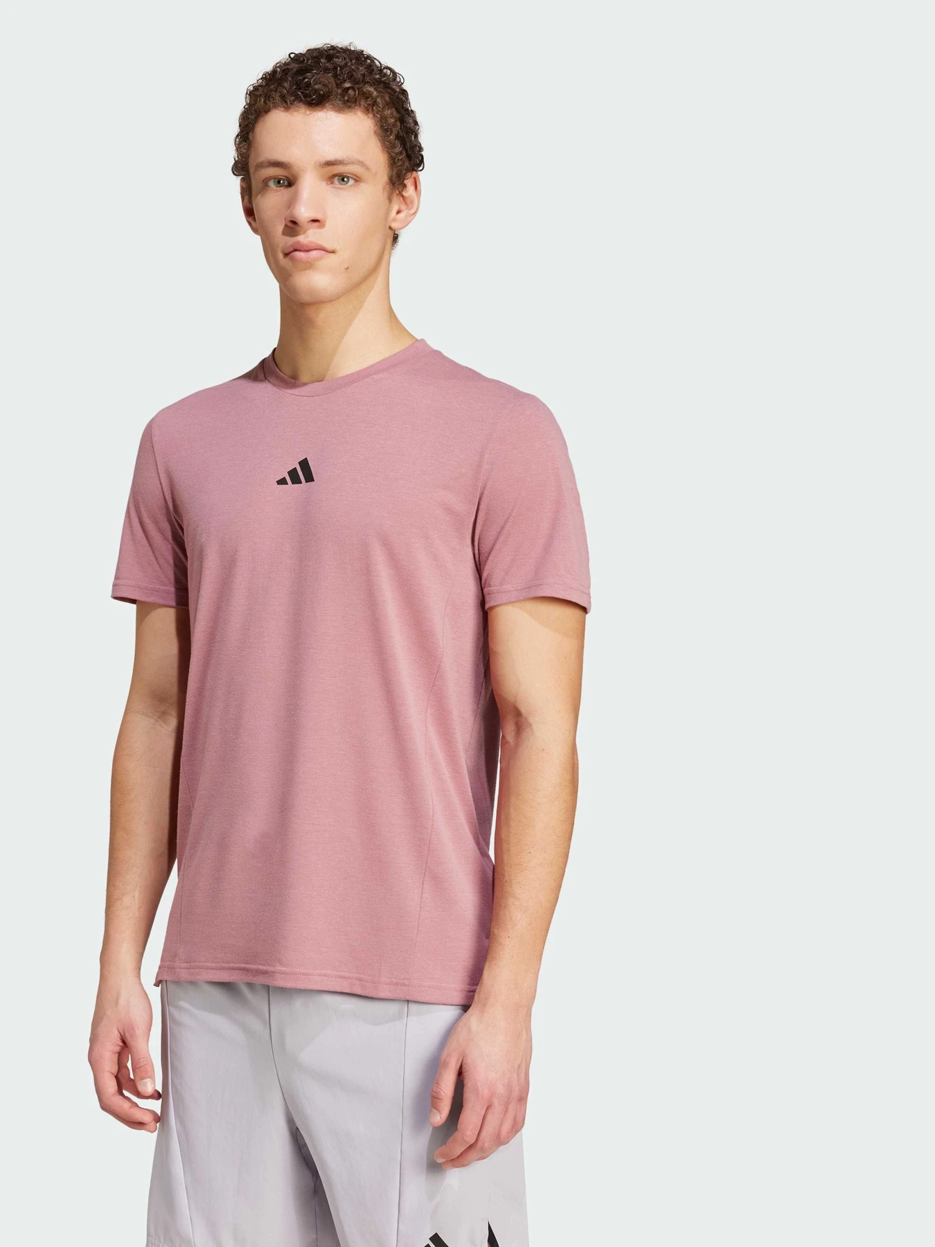 Футболки и поло Adidas Clima модель IX9148 Футболки и поло Adidas Clima модель IX9148 Фото