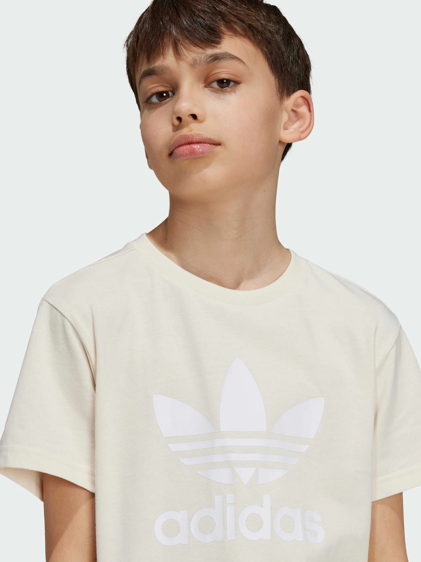 Футболки і поло Adidas Культові силуети модель IY7418 Футболки і поло Adidas Культові силуети модель IY7418 Фото
