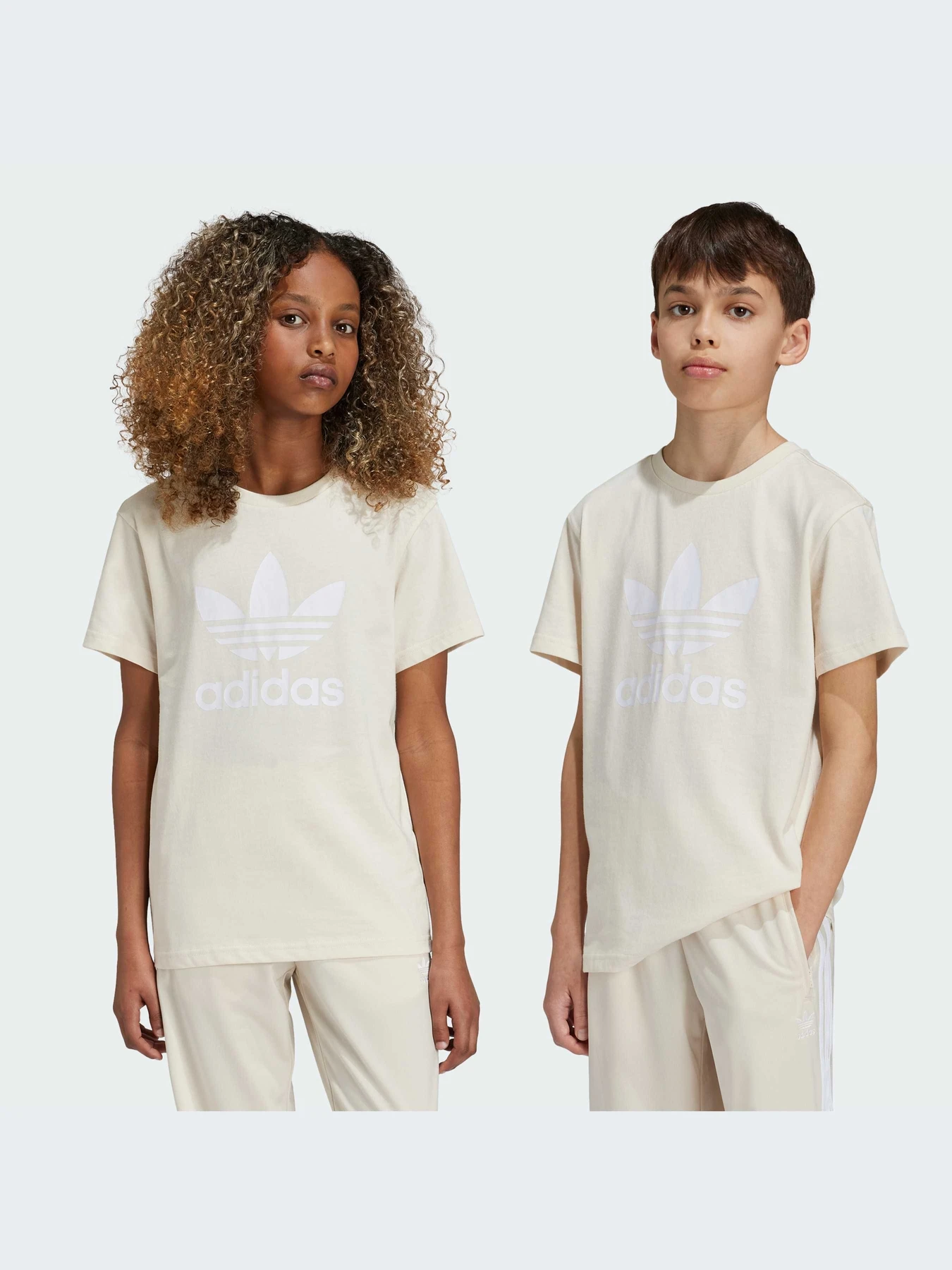 Футболки і поло Adidas Культові силуети модель IY7418 Футболки і поло Adidas Культові силуети модель IY7418 Фото