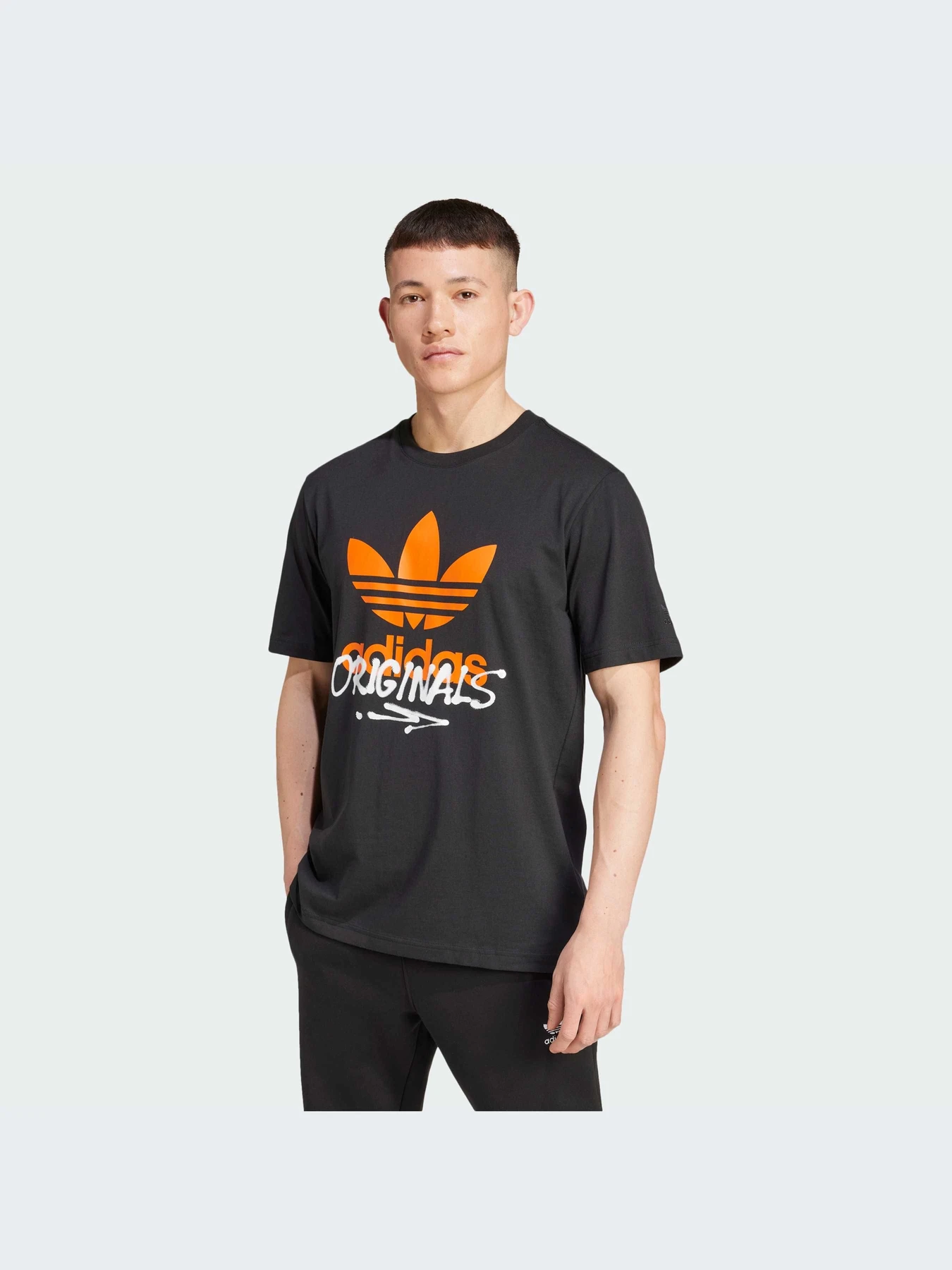 Футболки і поло Adidas Graphics модель IZ2578 Футболки і поло Adidas Graphics модель IZ2578 Фото
