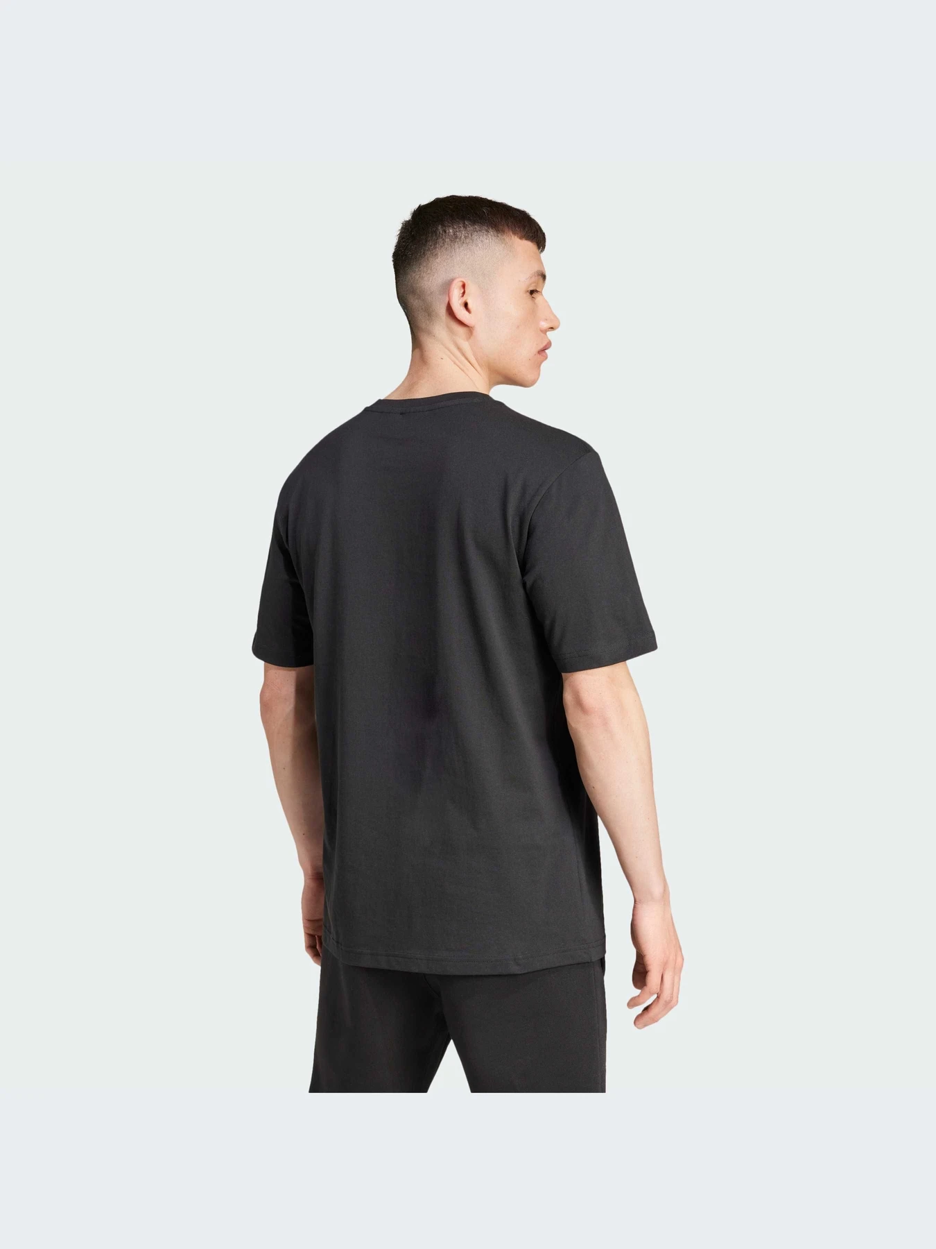 Футболки і поло Adidas Graphics модель IZ2578 Футболки і поло Adidas Graphics модель IZ2578 Фото