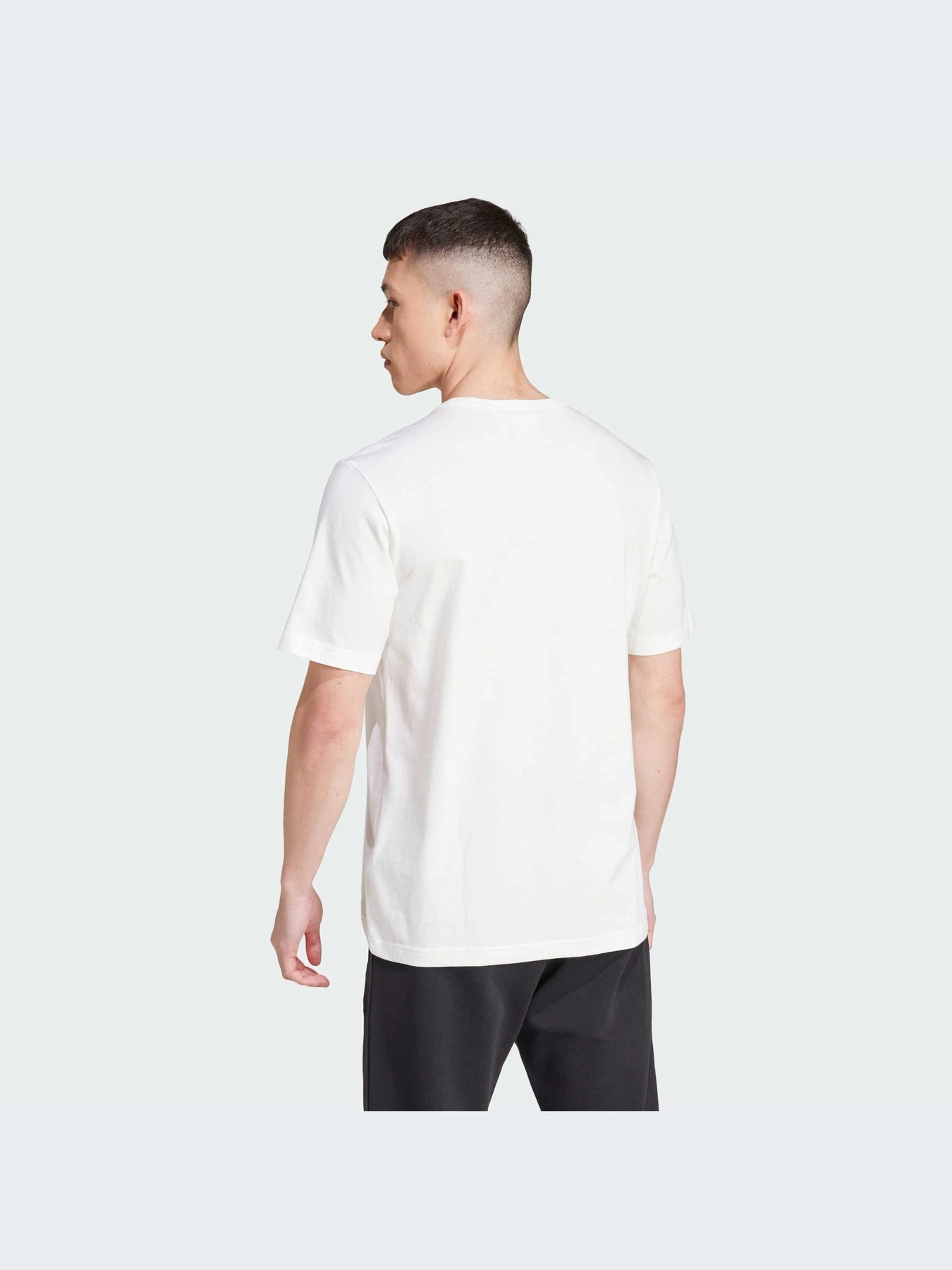 Футболки і поло Adidas модель IW3237 Футболки і поло Adidas модель IW3237 Фото