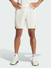Шорты Adidas модель IS3733 Фото