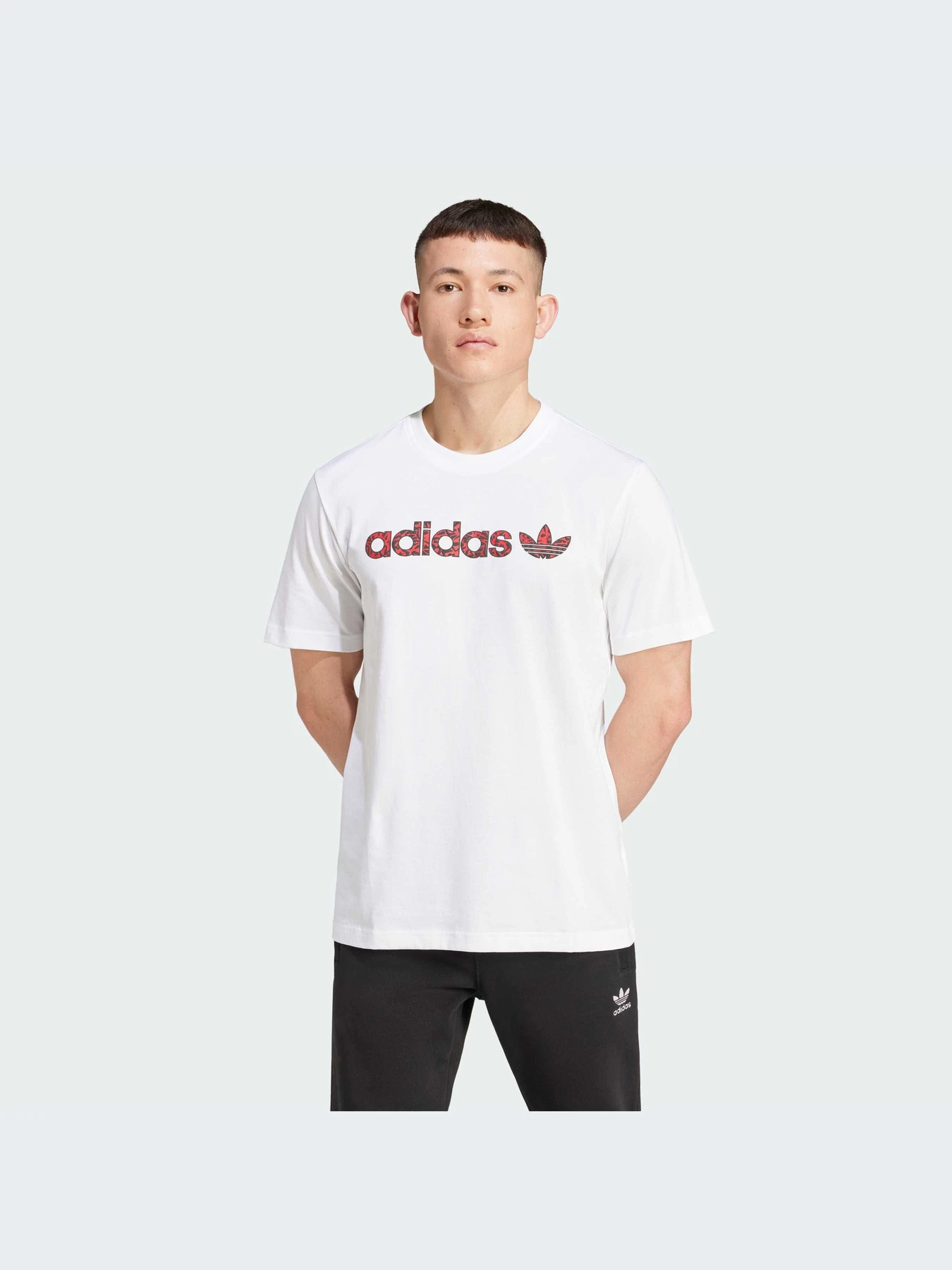 Футболки і поло Adidas Graphics модель IX9652 Футболки і поло Adidas Graphics модель IX9652 Фото