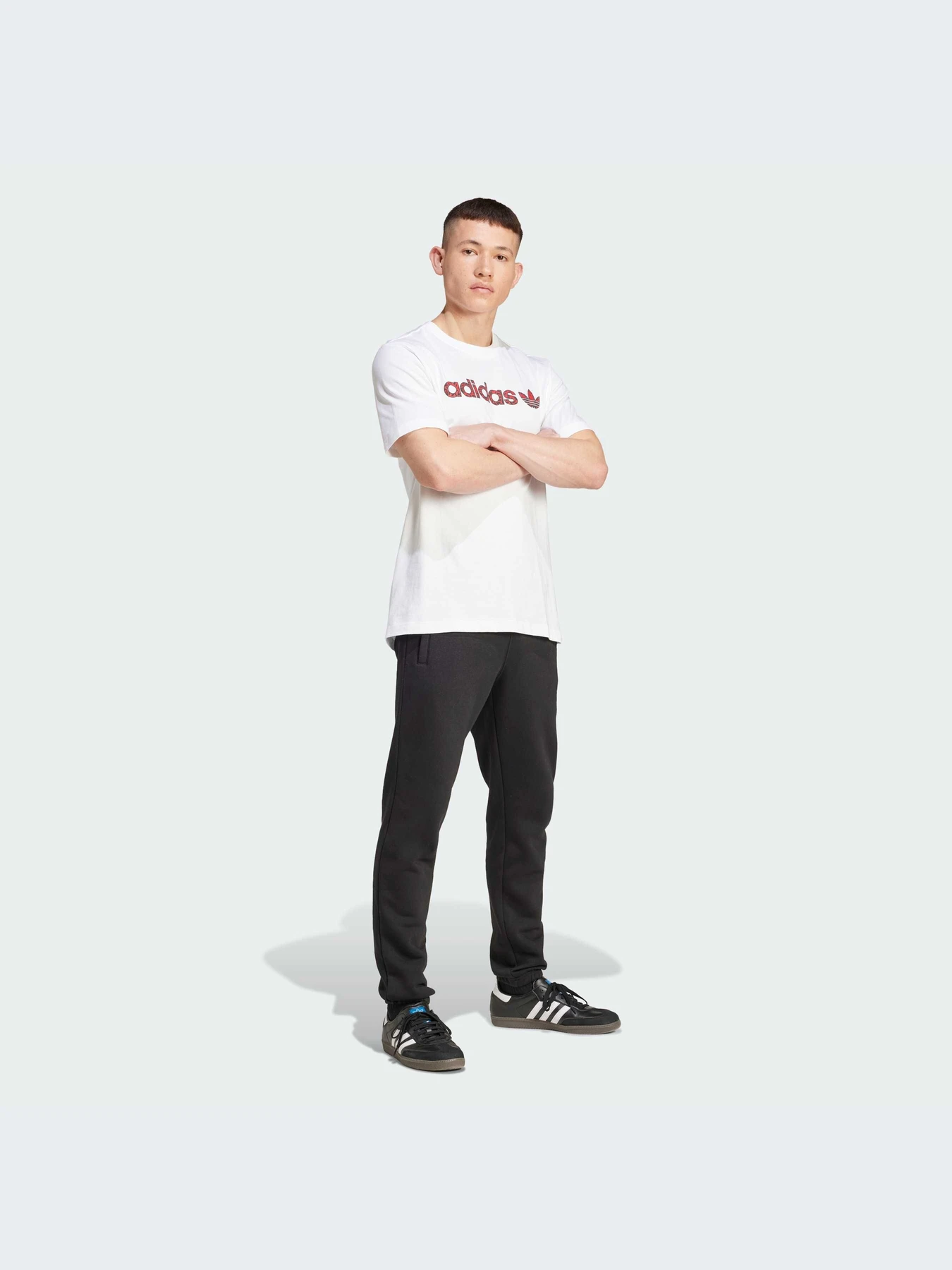 Футболки і поло Adidas Graphics модель IX9652 Футболки і поло Adidas Graphics модель IX9652 Фото