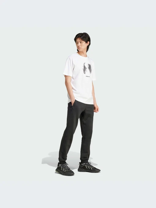 Футболки і поло Adidas Graphics модель IY3430 Фото
