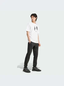 Футболки і поло Adidas Graphics модель IY3430 Фото