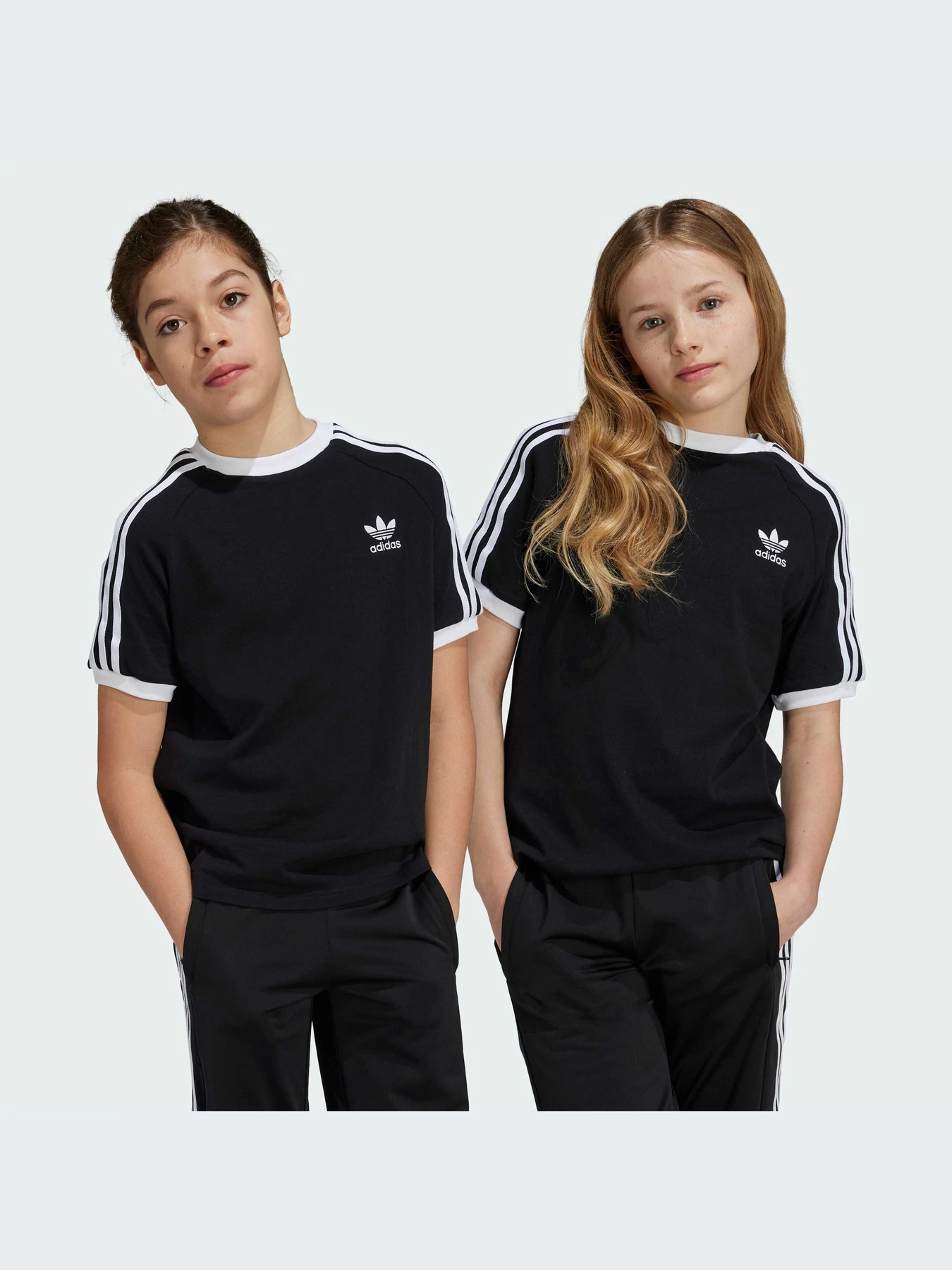 Футболки і поло Adidas Adicolor модель IX7626 Футболки і поло Adidas Adicolor модель IX7626 Фото
