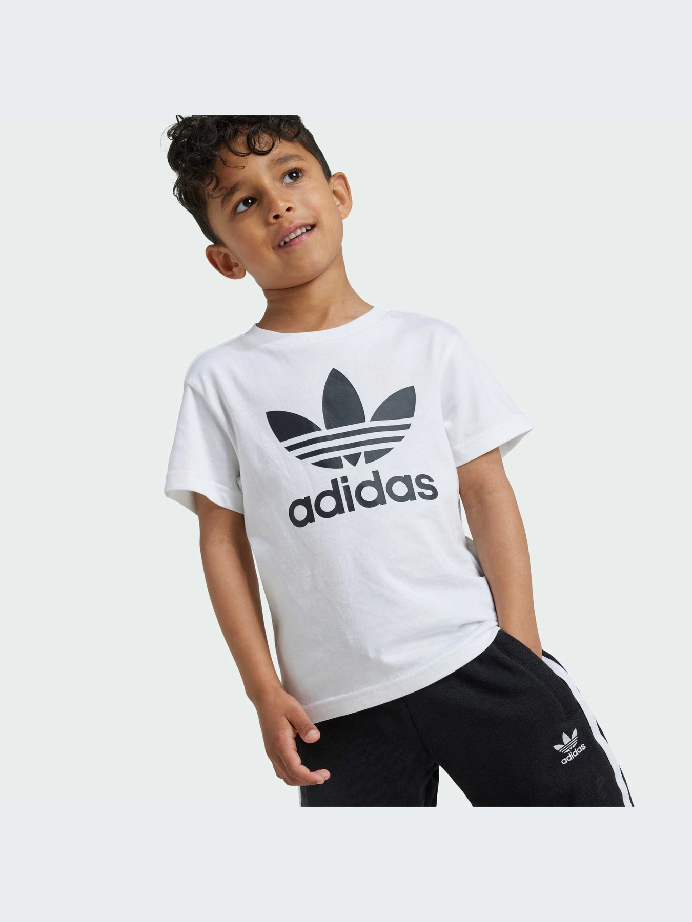 Костюмы Adidas Adicolor модель JE1613 Фото