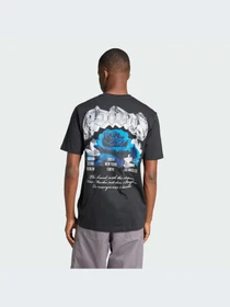 Футболки и поло Adidas Graphics модель IX6786 Фото