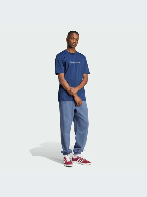 Футболки і поло Adidas Graphics модель IZ2589 Фото