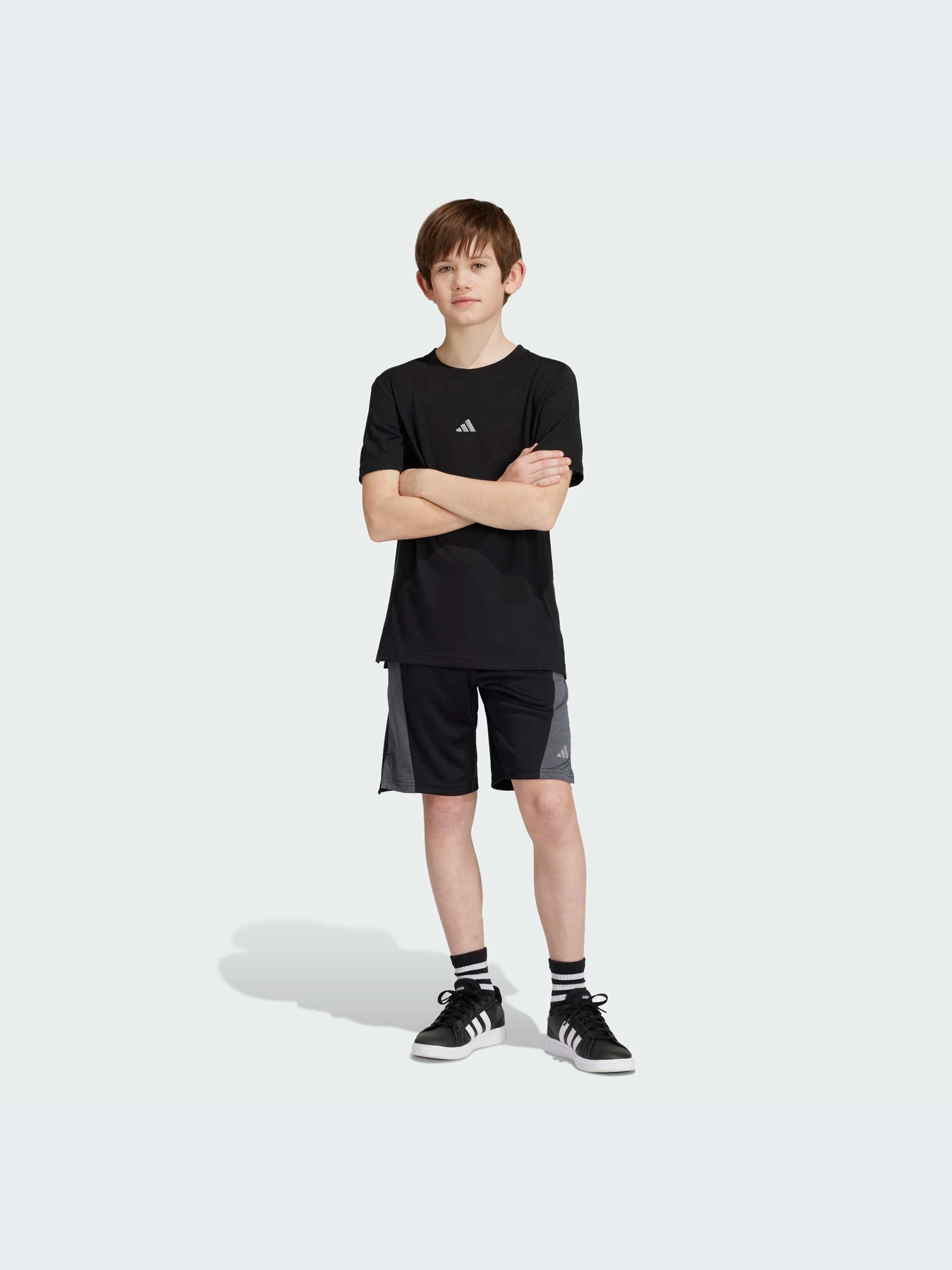 Шорти Adidas модель IR6227 Фото