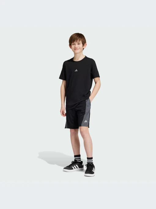 Шорты Adidas модель IR6227 Фото