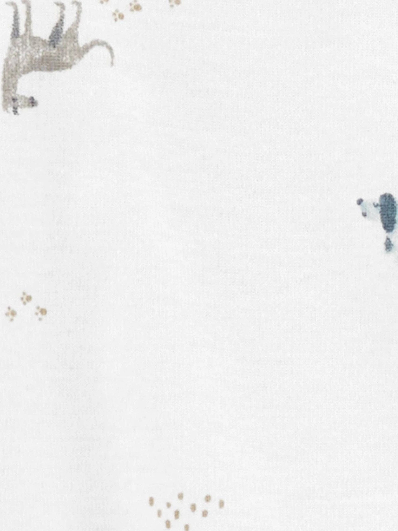 Одяг для немовлят Carter’s модель 1N723710 Фото