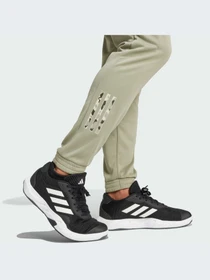 Брюки Adidas модель IX0924 Фото
