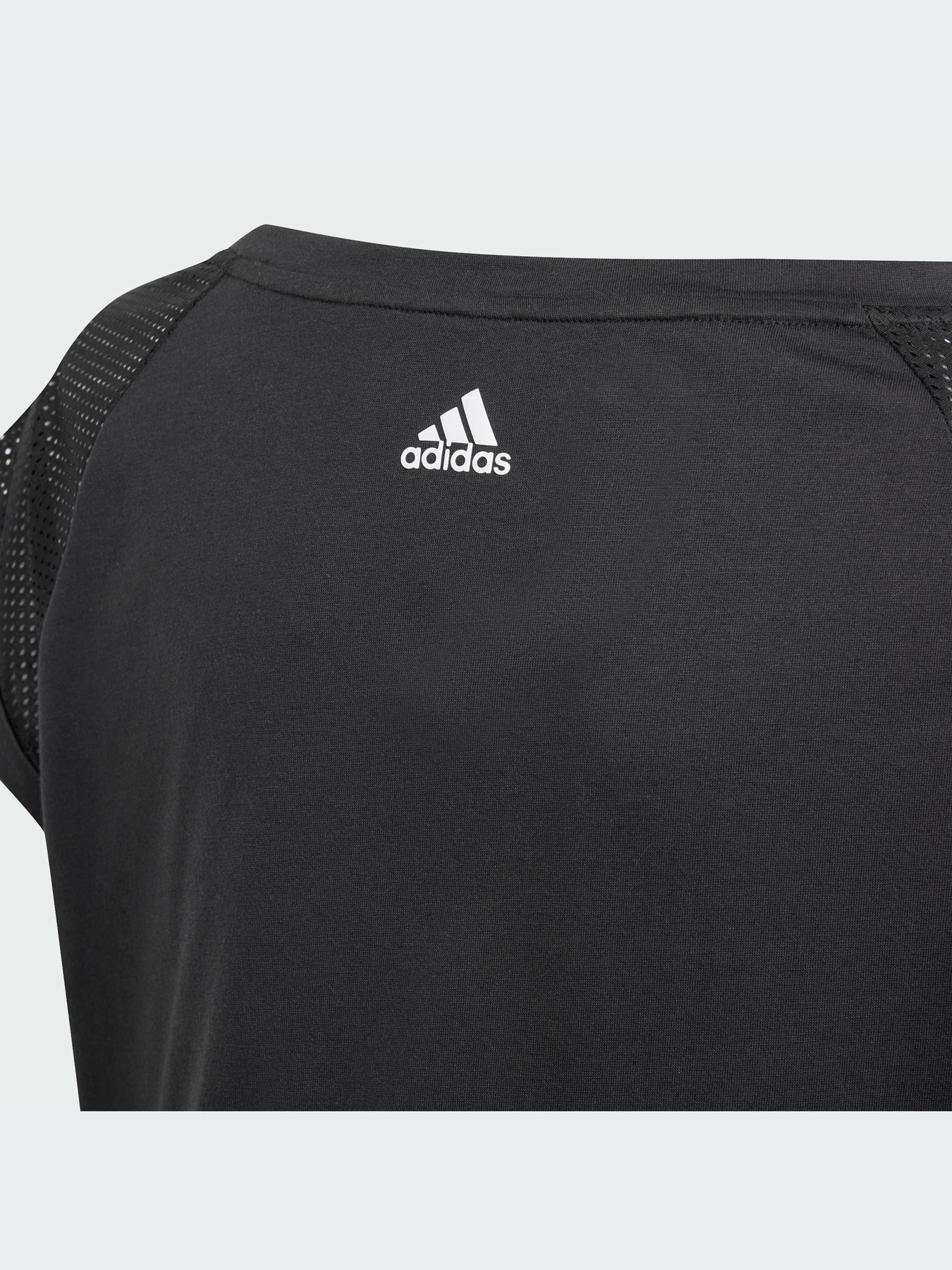 Футболки и поло Adidas Культовые силуэты модель IS3776 Фото