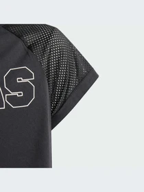 Футболки и поло Adidas Культовые силуэты модель IS3776 Фото