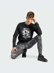 Брюки Adidas модель IS2023 Фото