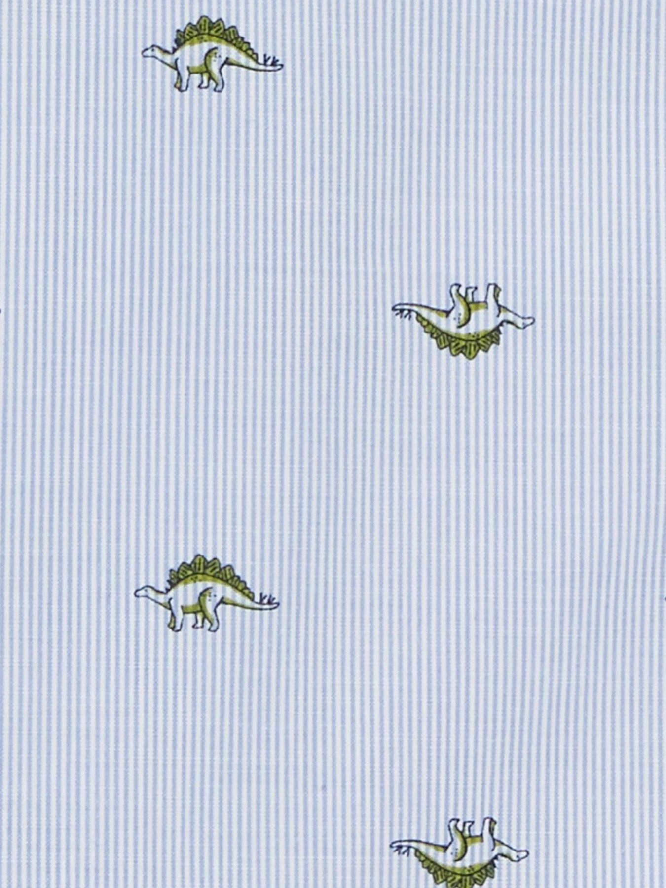 Рубашки Carter’s модель 3P799910 Фото