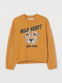 Худи и свитшоты H&M модель 73753 Фото