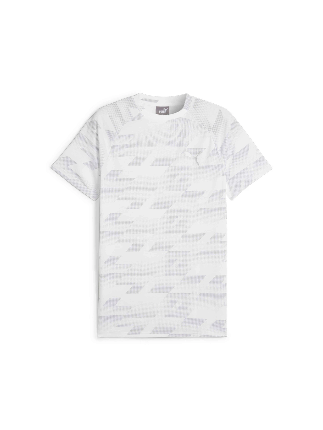 Футболки и поло PUMA Evostripe Aop Tee модель 678993 Фото