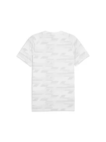 Футболки и поло PUMA Evostripe Aop Tee модель 678993 Фото