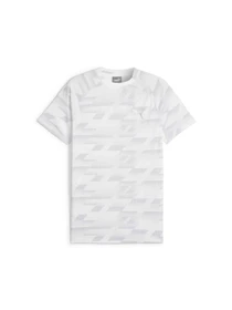 Футболки и поло PUMA Evostripe Aop Tee модель 678993 Фото