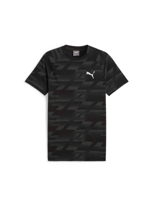 Футболки и поло PUMA Evostripe Aop Tee модель 678993 Фото