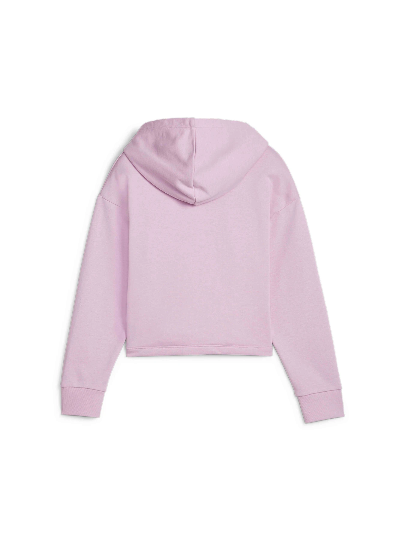 Худи и свитшоты PUMA Ess+ 2color Logo Hoodie модель 680993 Худи и свитшоты PUMA Ess+ 2color Logo Hoodie модель 680993 Фото