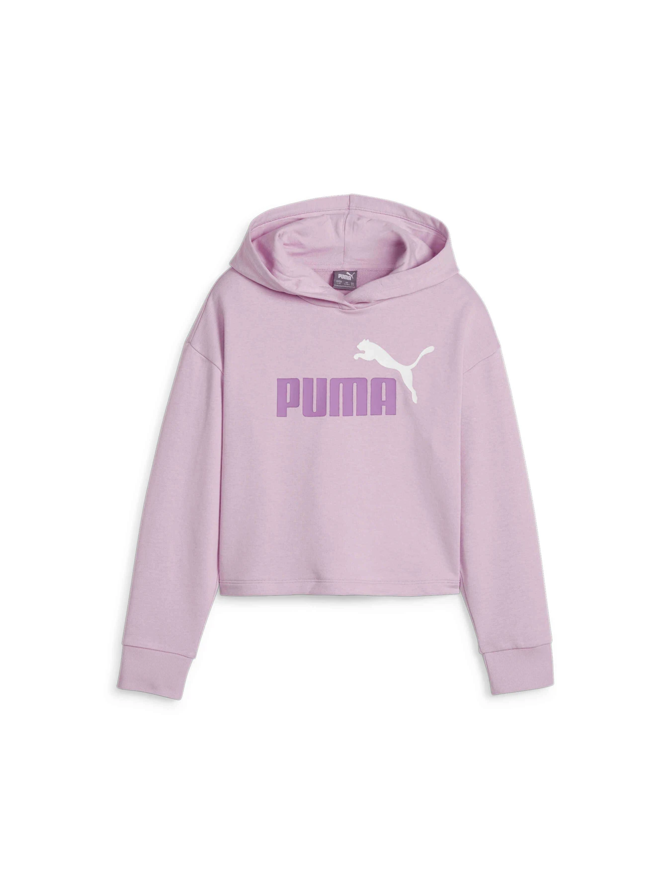 Худи и свитшоты PUMA Ess+ 2color Logo Hoodie модель 680993 Худи и свитшоты PUMA Ess+ 2color Logo Hoodie модель 680993 Фото