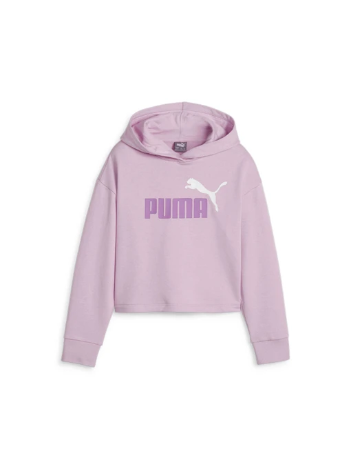 Худи и свитшоты PUMA Ess+ 2color Logo Hoodie модель 680993 Фото