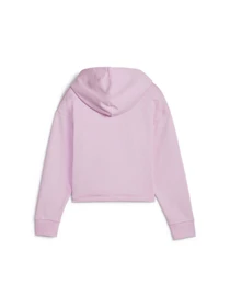 Худи и свитшоты PUMA Ess+ 2color Logo Hoodie модель 680993 Фото