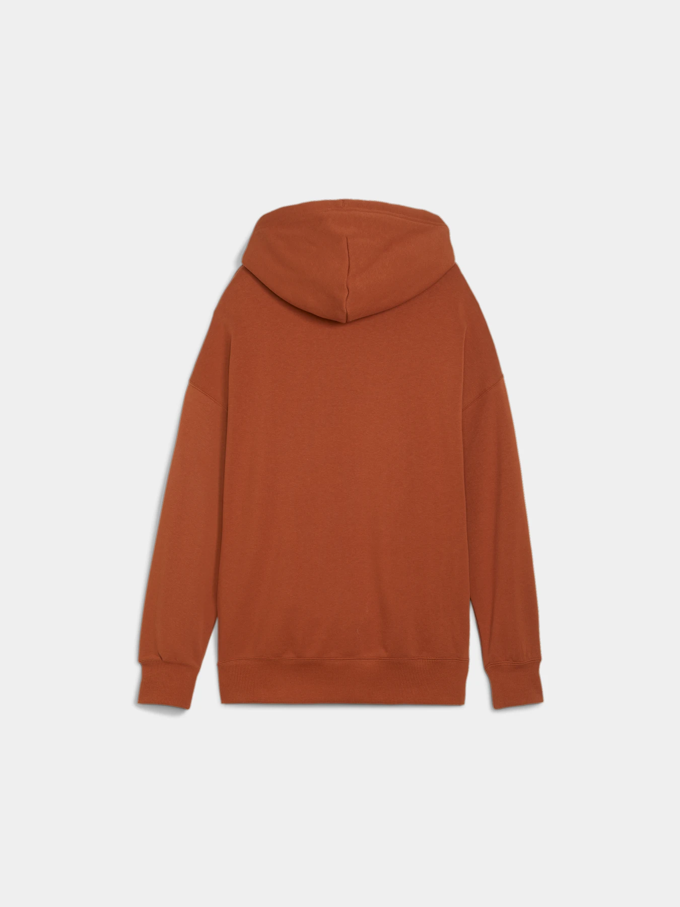 Худи и свитшоты PUMA Downtown Graphic Hoodie модель 624357 Фото
