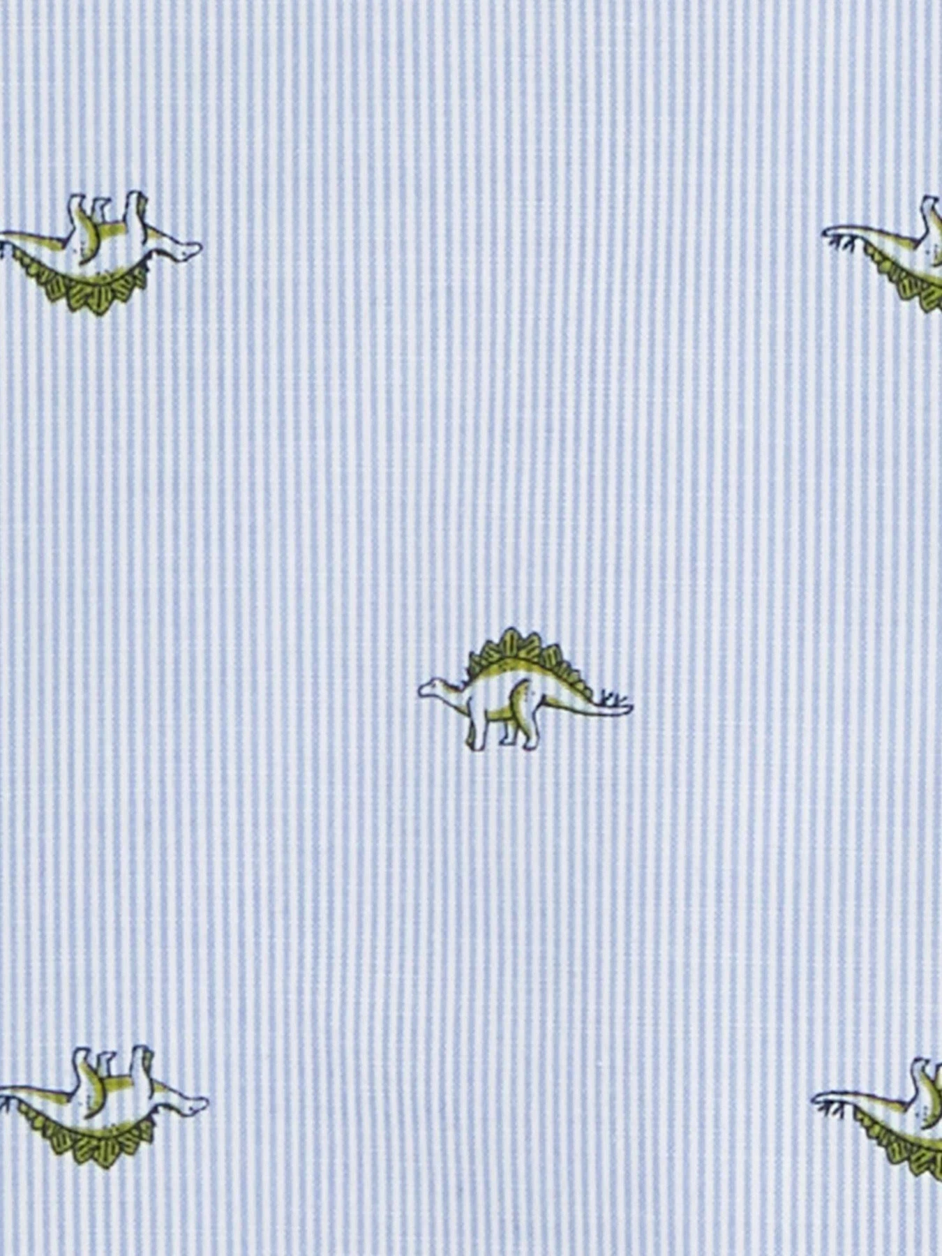Рубашки Carter’s модель 2P799910 Фото