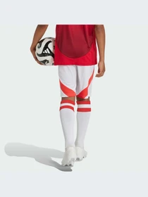 Шорты Adidas модель IT1975 Фото