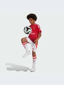 Шорты Adidas модель IT1975 Фото