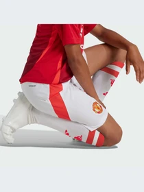 Шорты Adidas модель IT1975 Фото
