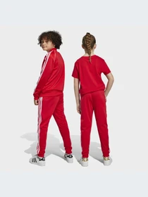 Штани Adidas Adicolor модель IC3088 Фото