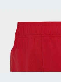 Штани Adidas Adicolor модель IC3088 Фото