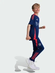 Брюки Adidas Tiro модель IT2025 Фото