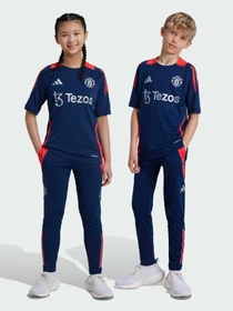 Брюки Adidas Tiro модель IT2025 Фото