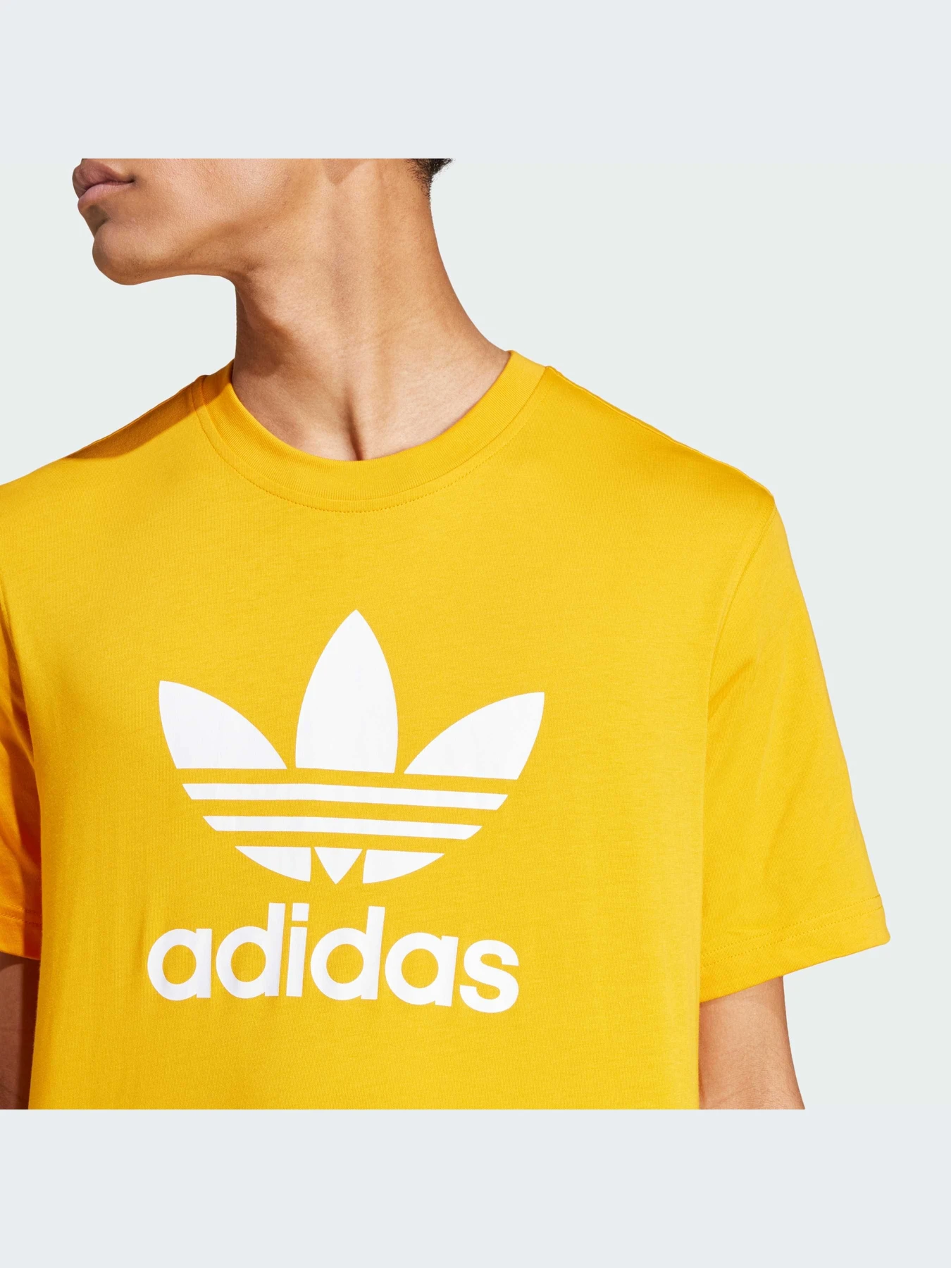Футболки і поло Adidas Adicolor модель IZ2352 Футболки і поло Adidas Adicolor модель IZ2352 Фото
