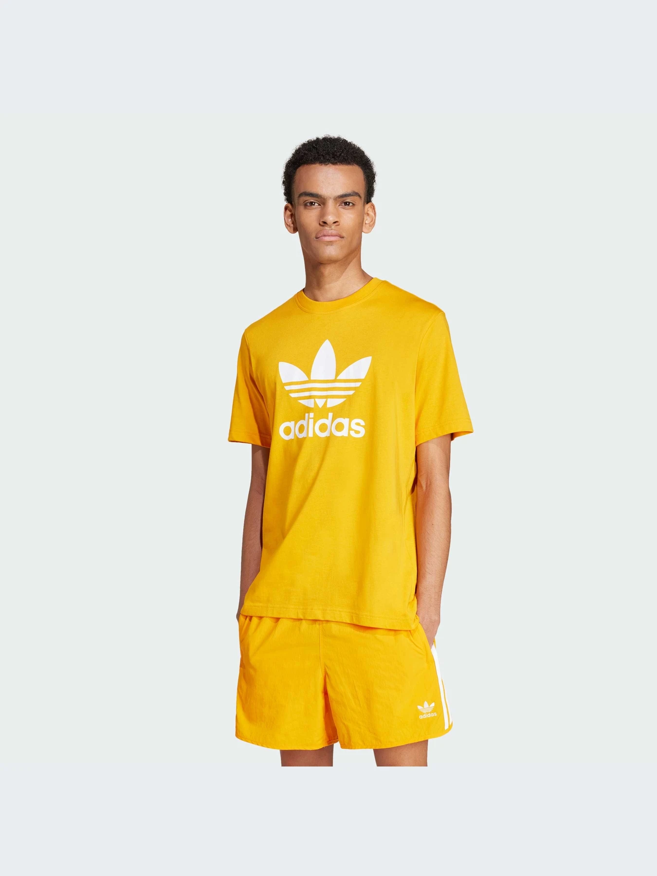 Футболки і поло Adidas Adicolor модель IZ2352 Футболки і поло Adidas Adicolor модель IZ2352 Фото