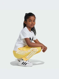 Футболки і поло Adidas Adicolor модель JE0518 Фото