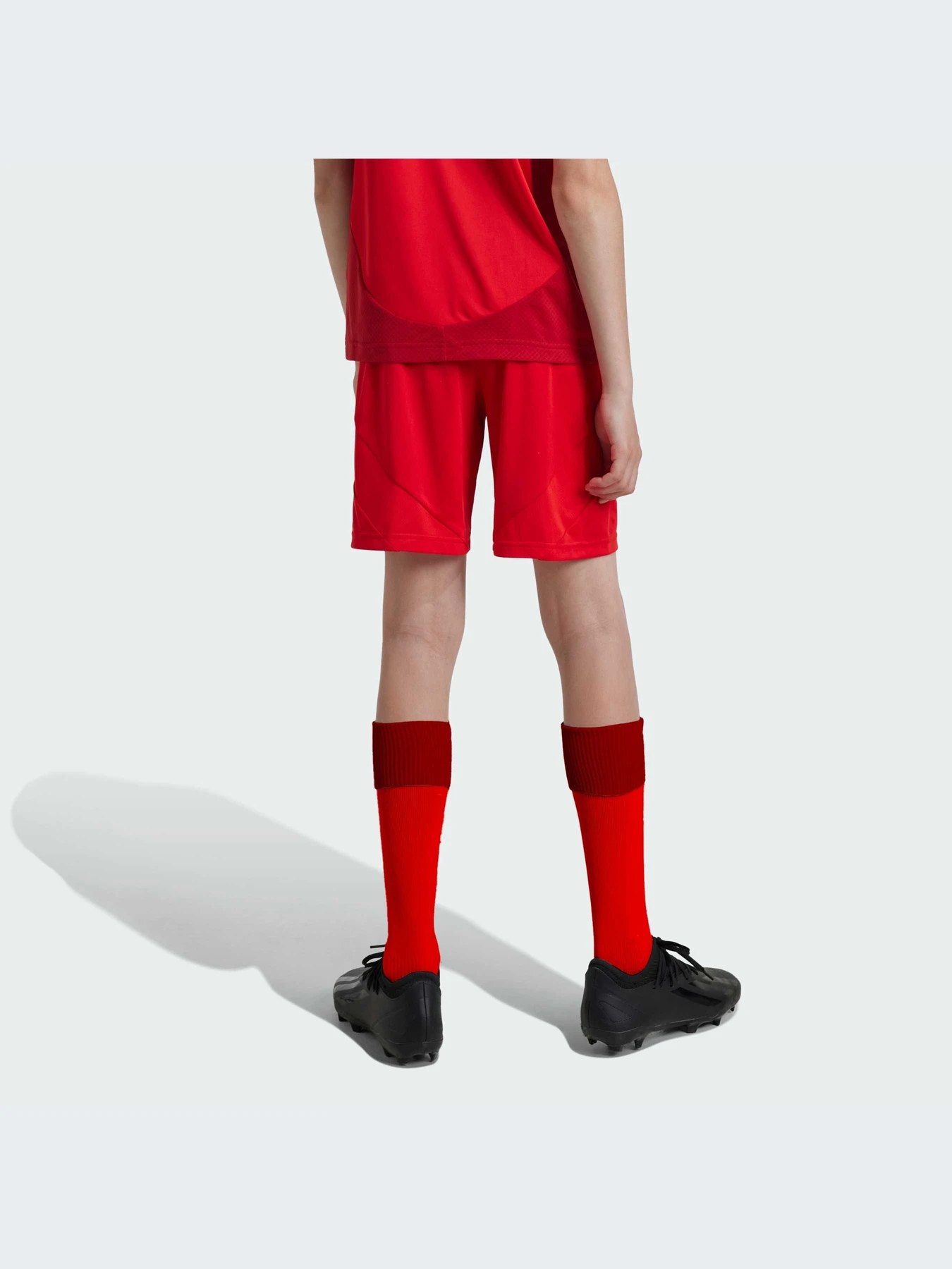 Шорты Adidas модель JD8336 Фото