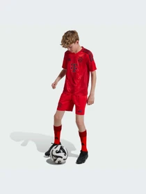 Шорты Adidas модель JD8336 Фото